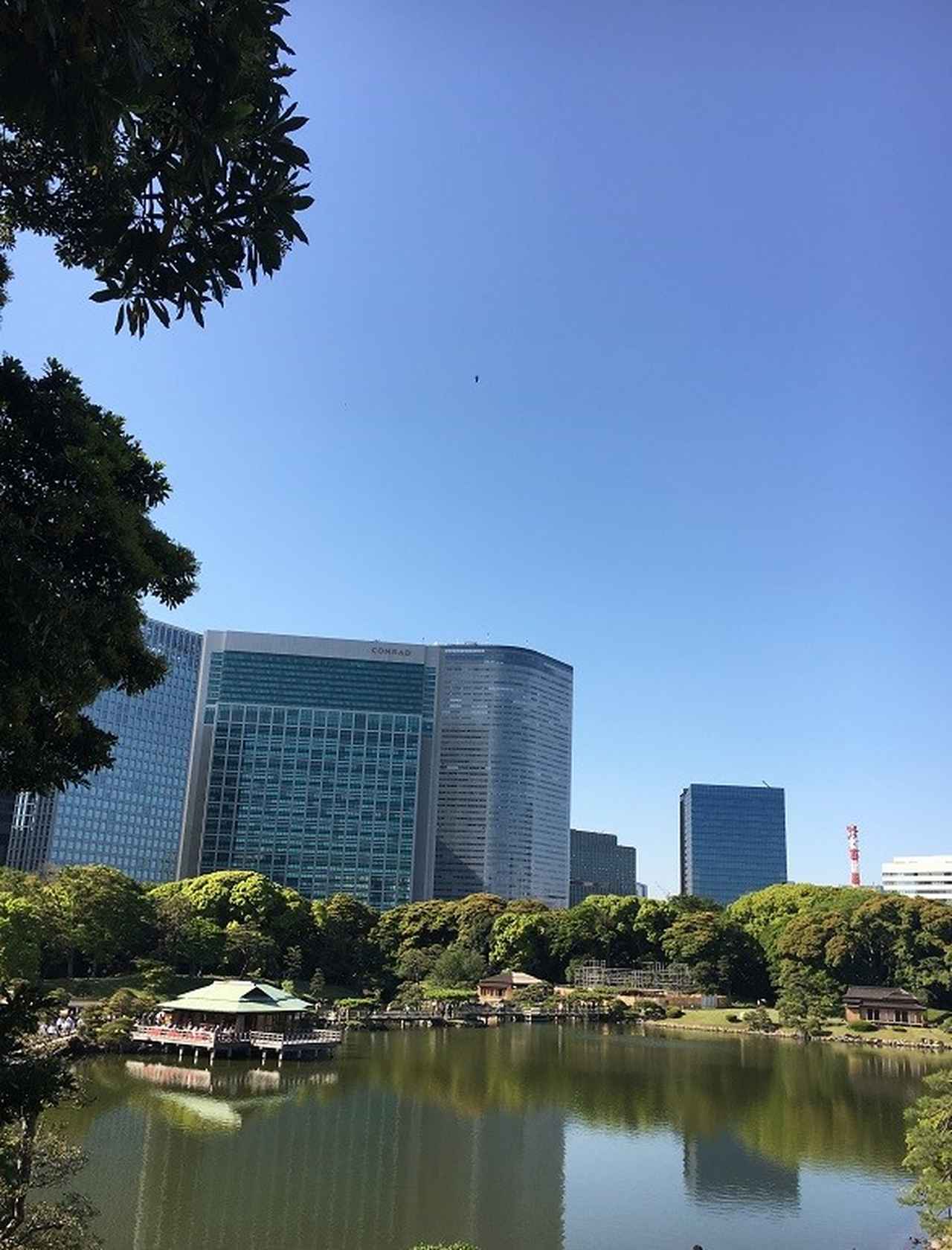 画像: 都内では唯一の海水の池である「潮入の池」