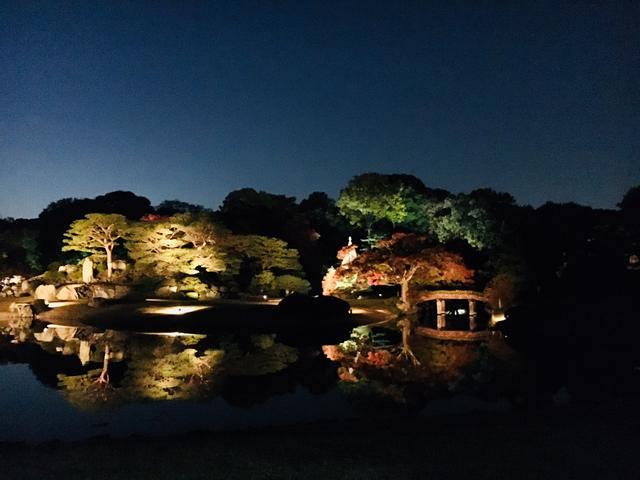 画像4: 夕方になりライトアップ開始!