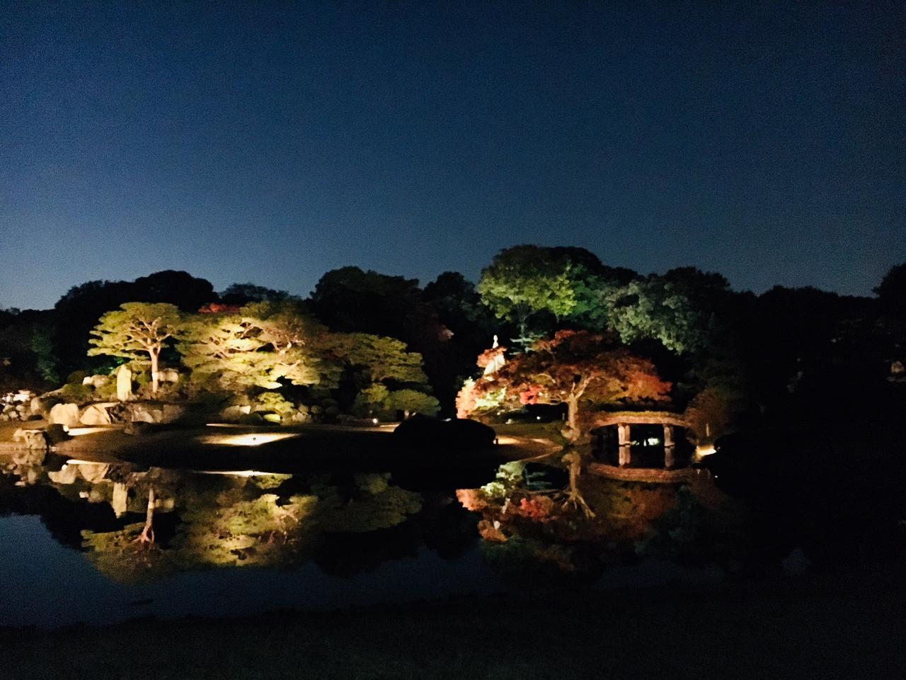 画像4: 夕方になりライトアップ開始!