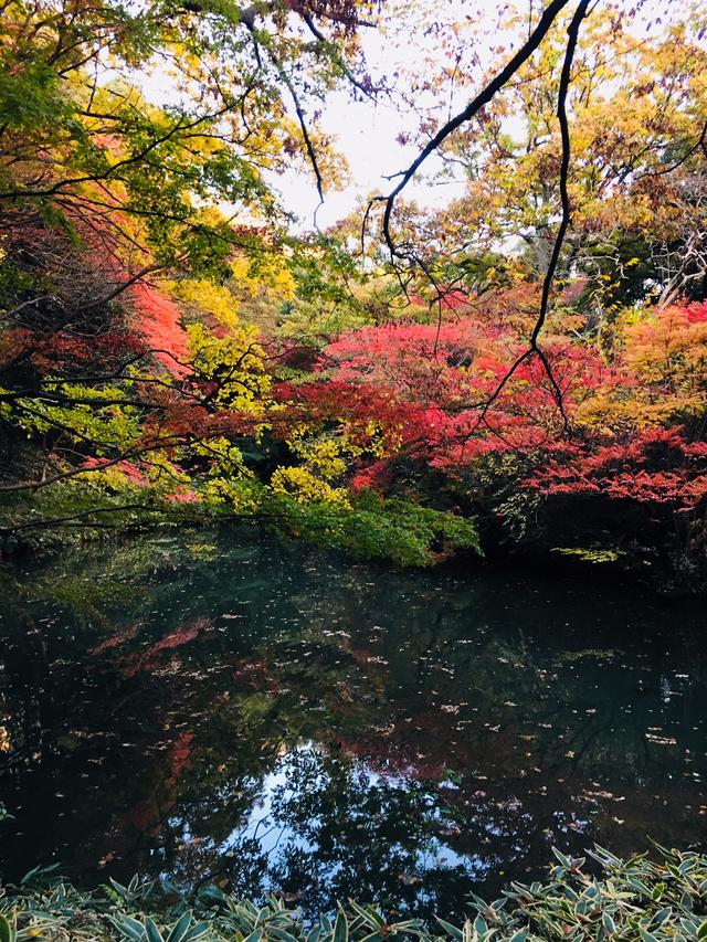 画像1: 日本庭園で秋の自然を満喫