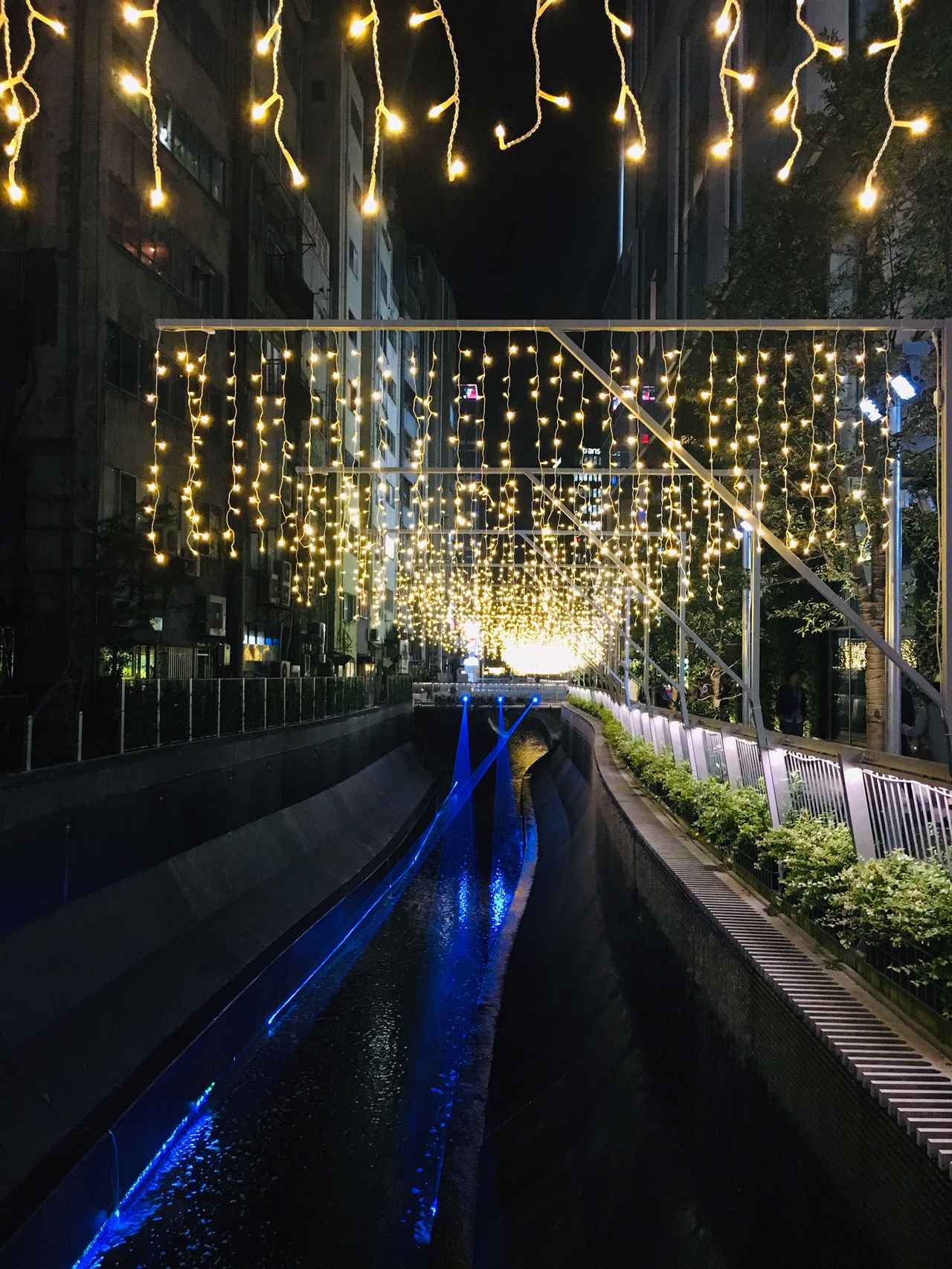 画像2: 渋谷本社、近辺のクリスマス・イルミネーション特集【2018年】