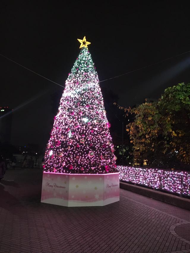 画像: 飯田橋RAMLAのクリスマスツリー