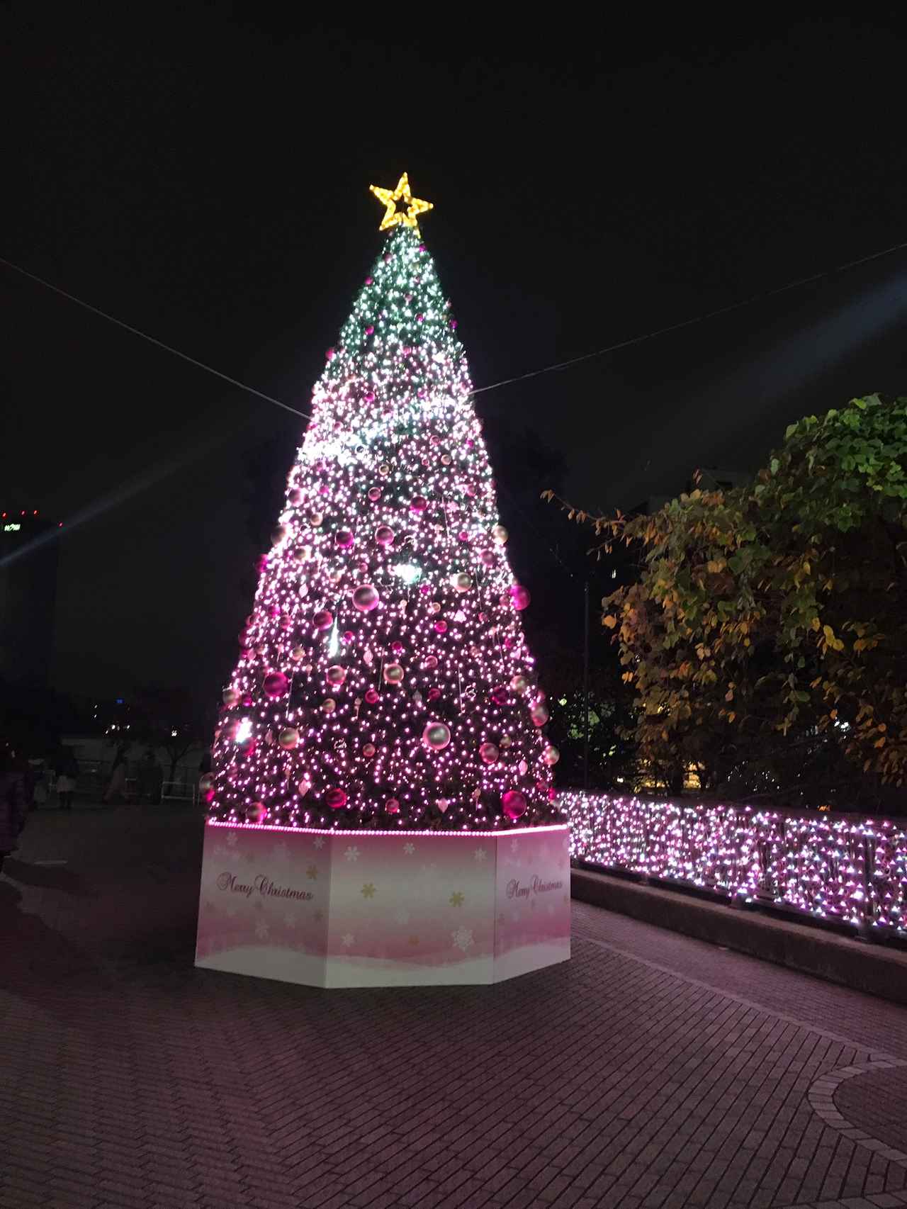画像: 飯田橋RAMLAのクリスマスツリー