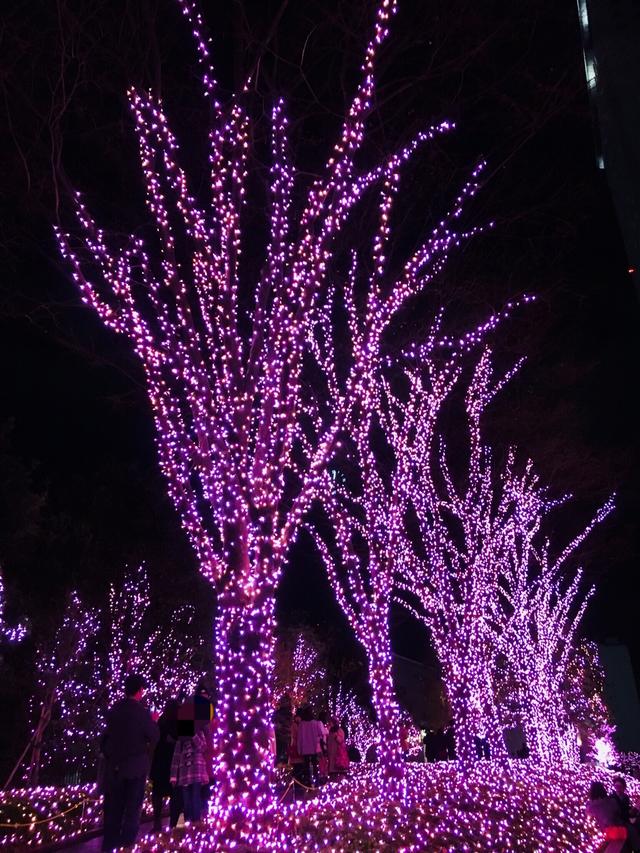 画像: 新宿ミナミルミ