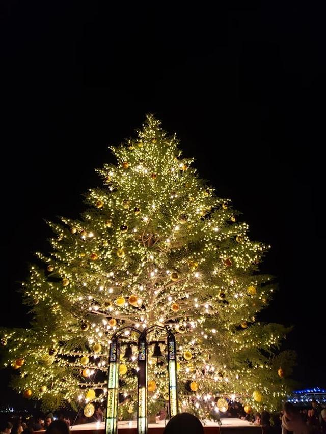 画像1: きらびやかな装飾のクリスマスツリー