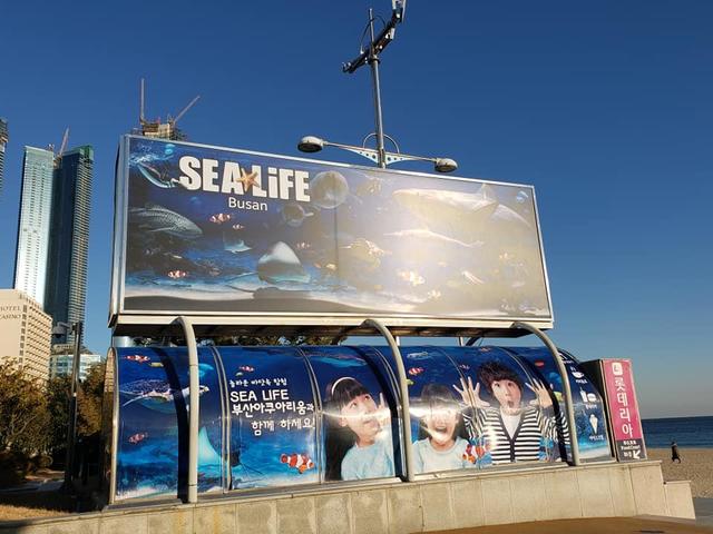 画像: 水族館は海雲台ビーチの目の前!