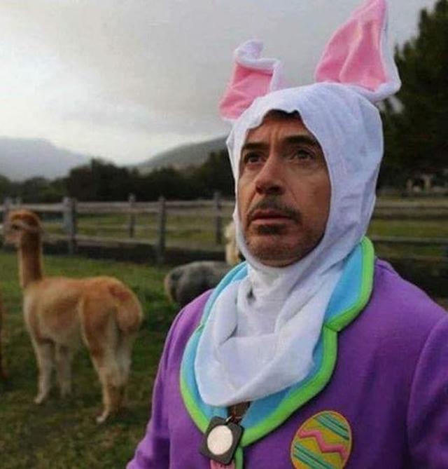 画像: Twitter/Robert Downey