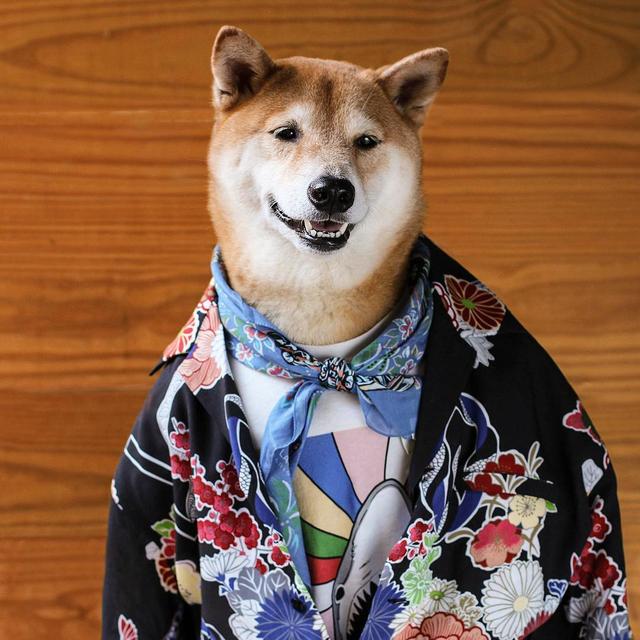 画像5: 着ている服は一流ブランド