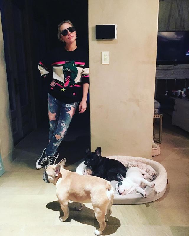 画像12: インスタアカを持っているセレブの愛犬7、フォロワー数ランキング