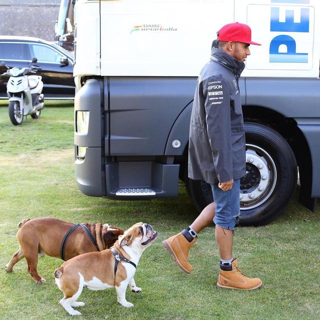 画像8: インスタアカを持っているセレブの愛犬7、フォロワー数ランキング