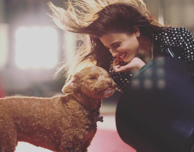 画像2: インスタアカを持っているセレブの愛犬7、フォロワー数ランキング