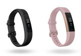 画像: 「Fitbit Alta HR(フィットビット・アルタ・エイチアール)」スペシャルエディション