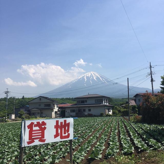 画像4: 寺院めぐりも