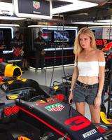 画像4: インディ500では日本人初制覇