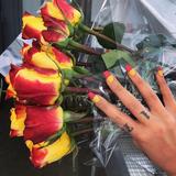 画像2: 人気シンガーのホールジー、ネイルを変えると「アレ」と一緒に撮影