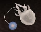 画像1: 青いハーブティーのなかでクラゲが浮かぶ、クラゲティーバッグが発売
