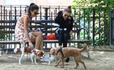 画像2: 彼氏の犬を散歩