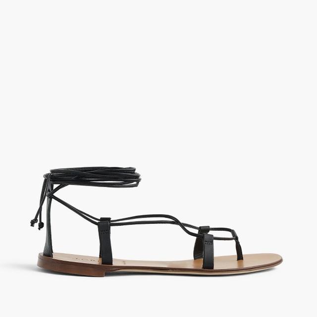 画像2: https://www.jcrew.com/jp/