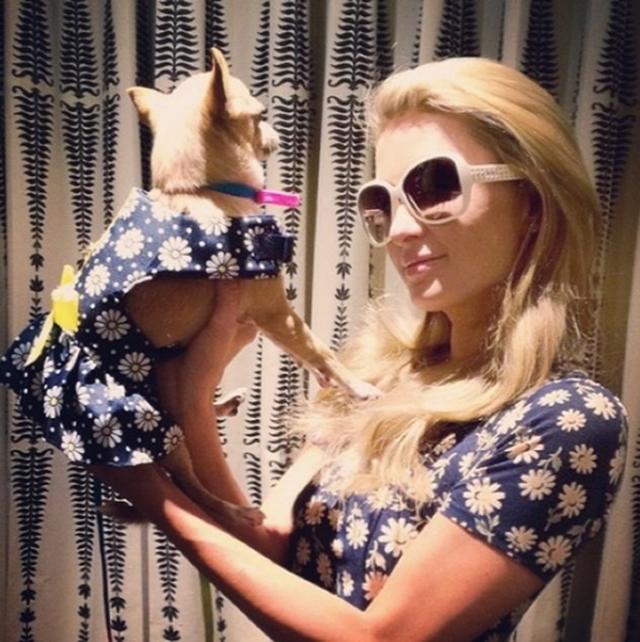 画像2: パリス・ヒルトンと愛犬の「双子コーデ」が可愛すぎ