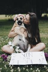 画像2: 可愛すぎ!妊娠した犬のマタニティフォトに癒される