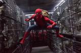 画像: 新作『スパイダーマン』の主演に抜擢されたトム