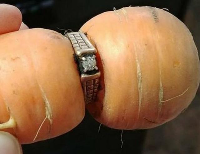 画像1: 13年前に失くした結婚指輪がまさかのニンジンから発見される