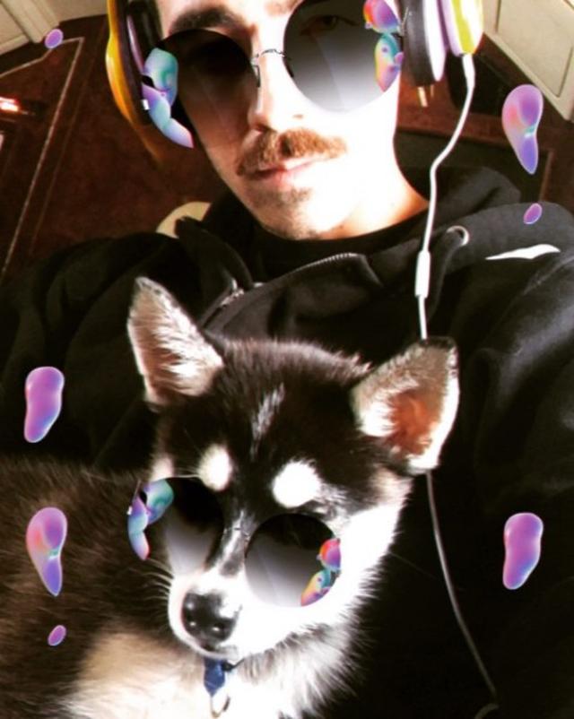 画像3: DNCEジョー・ジョナスが彼女と子犬を飼い始め、専用アカウントも開設