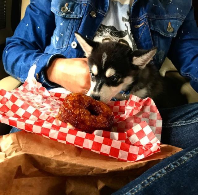 画像5: DNCEジョー・ジョナスが彼女と子犬を飼い始め、専用アカウントも開設
