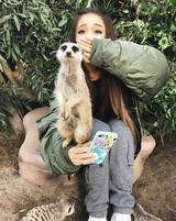 画像2: 「私と娘のことを放っておいて」アリアナ・グランデ、SNSに意味深コメントを投稿