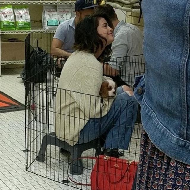 画像1: セレーナ&ウィークエンドが犬を迎え入れる