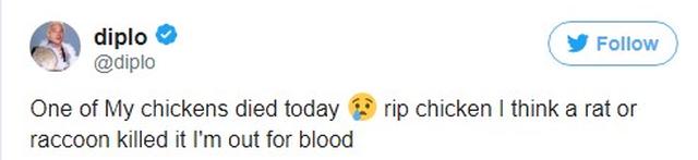 画像3: 日本が大好きなDJ、ペットが殺される