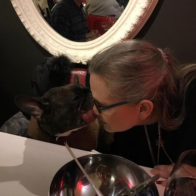 画像3: 『スター・ウォーズ』最後のレイア姫を見守る愛犬の姿に胸が締め付けられる