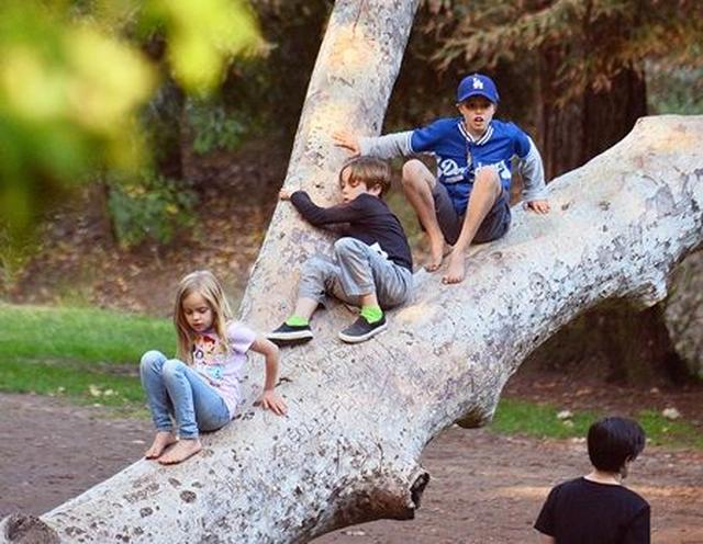 画像: 公園で遊ぶ、ブラッドとアンジェリーナの子供ヴィヴィアン、ノックス、シャイロ。