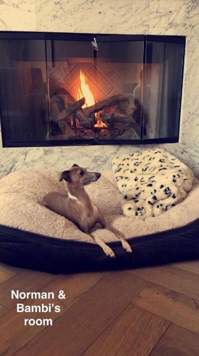 画像: 「この部屋はノーマンとバンビの部屋よ」と、愛犬たちには暖炉前のあたたかいスポットを提供。それにしても、犬のサイズに比べてベッドのサイズが大きい。