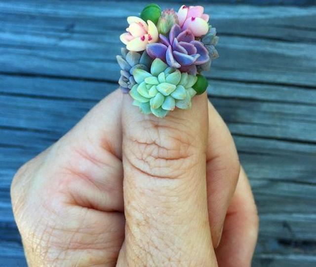 画像: 次のネイルトレンドはこれ!?リアル植物を生け花のように使った「多肉植物ネイル」