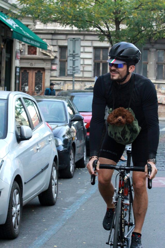 画像3: オーランド・ブルーム、愛犬と一緒に自転車に乗る姿がカンガルーのよう