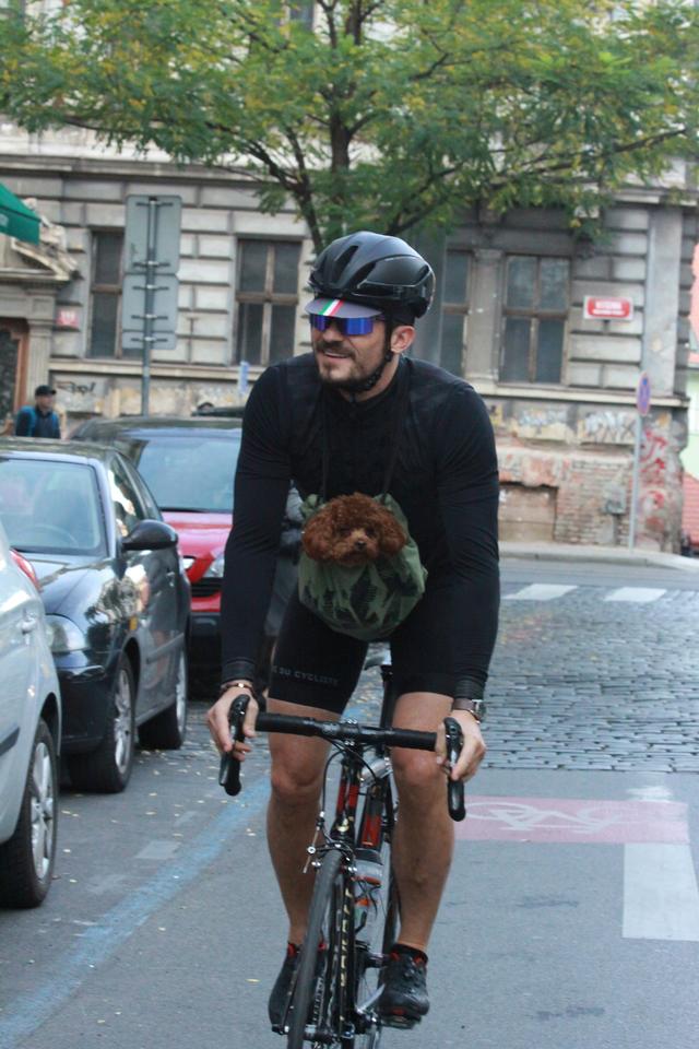 画像4: オーランド・ブルーム、愛犬と一緒に自転車に乗る姿がカンガルーのよう