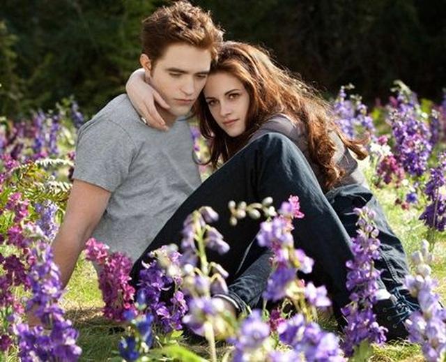 画像: 映画『トワイライト』シリーズは、2008年から2012年まで、全5作品公開された。