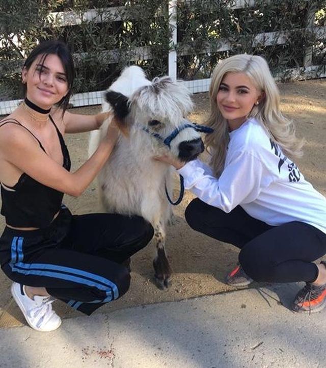 画像: 動物好きなカイリー(右)と、姉のケンダル・ジェンナー(左)。