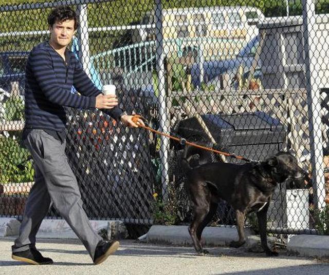 画像: シディと名付けられた愛犬はいつもオーランドと一緒だった。