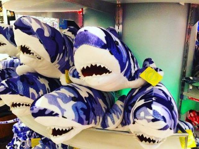 画像: フロントロウ編集部の調べでは価格は約1,200円(14ドル99セント)。