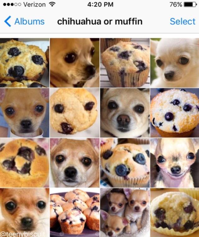 画像1: ©Twitter/teenybiscuit