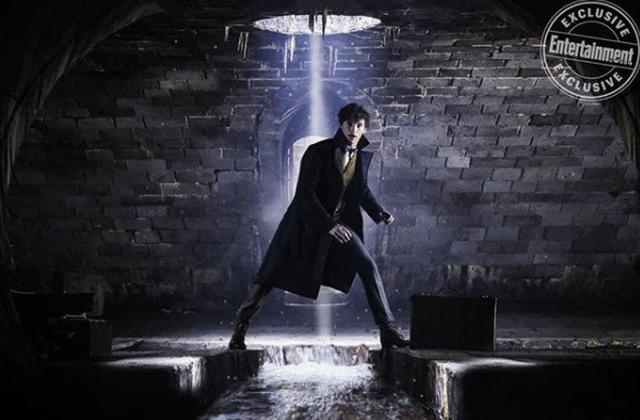 画像3: ©instagram/fantasticbeastsmovie