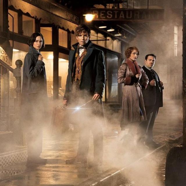 画像1: ©instagram/fantasticbeastsmovie