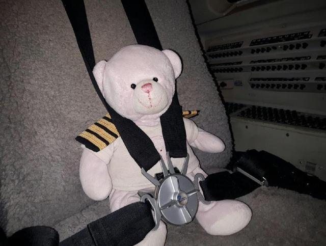 画像2: © Loganair