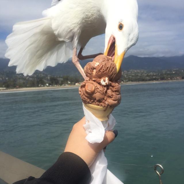 画像2: ©Twitter/youngweonhi