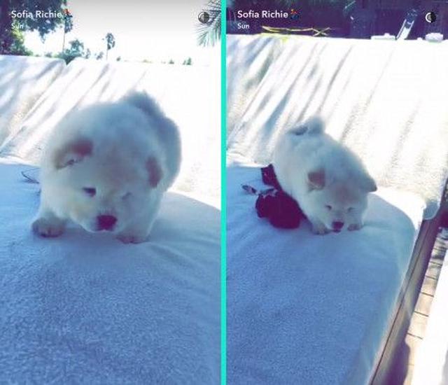 画像: ソフィアが公開していた動画のワンシーン。ソフィアのスナップチャットIDは「srichieee」。