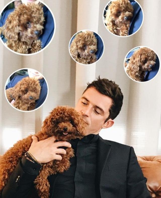 画像9: 癒しの極み!オーランド・ブルームと愛犬の2ショットに心奪われる