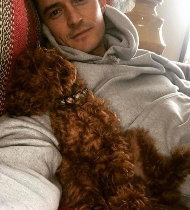 画像7: 癒しの極み!オーランド・ブルームと愛犬の2ショットに心奪われる