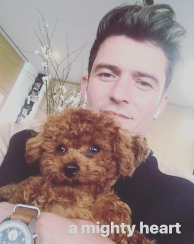 画像8: 癒しの極み!オーランド・ブルームと愛犬の2ショットに心奪われる